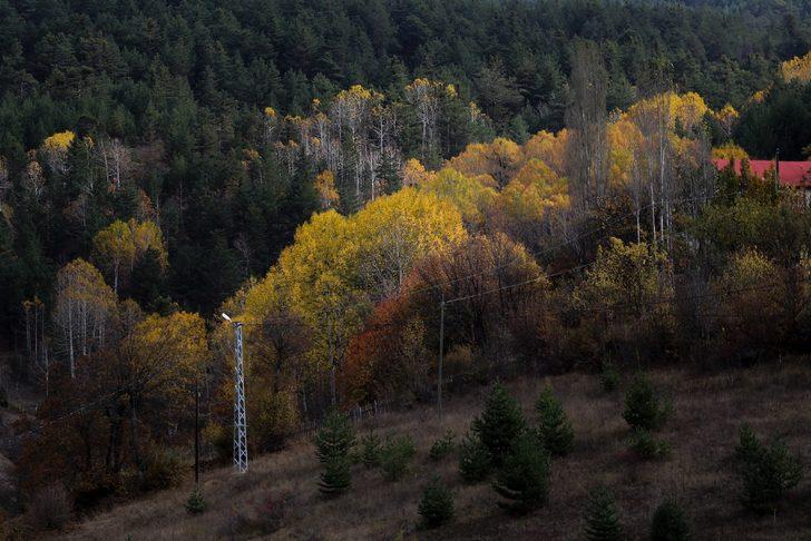 Duyan görmek için oraya koşuyor! Türkiye'de sadece 3 bölgede var G2