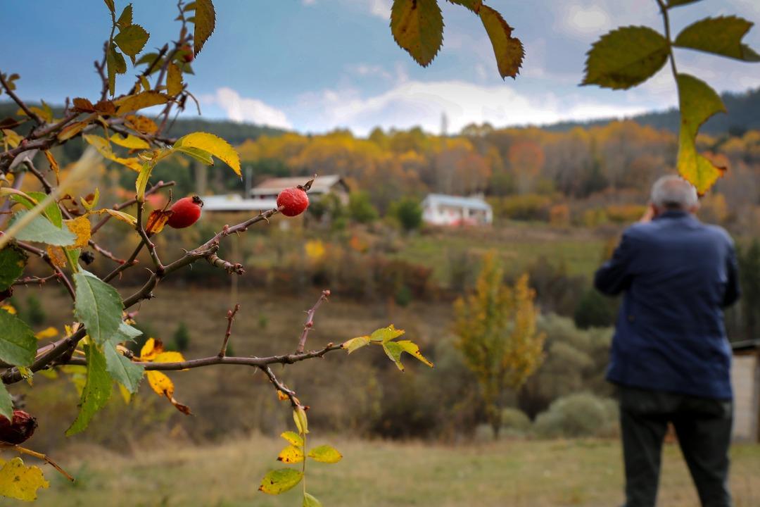 Duyan g&ouml;rmek i&ccedil;in oraya koşuyor! T&uuml;rkiye'de sadece 3 b&ouml;lgede var
