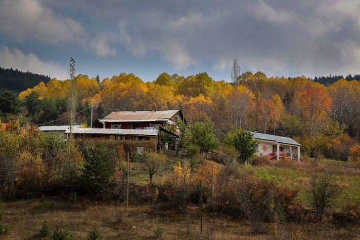 Duyan görmek için oraya koşuyor! Türkiye'de sadece 3 bölgede var G4