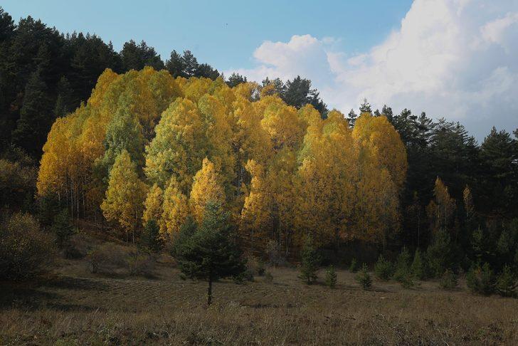 Duyan görmek için oraya koşuyor! Türkiye'de sadece 3 bölgede var G3