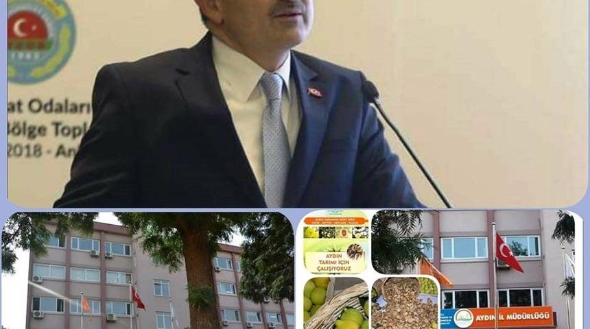 Aydın pilot il oldu