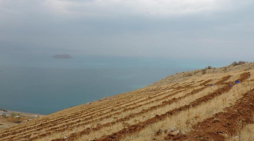 Van&rsquo;ın Artos Dağı yeşilleniyor
