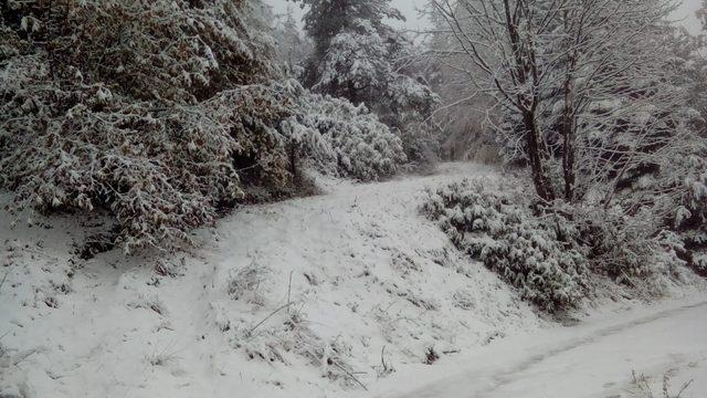 Sakarya’nın yüksek kesimlerine kar yağışı başladı