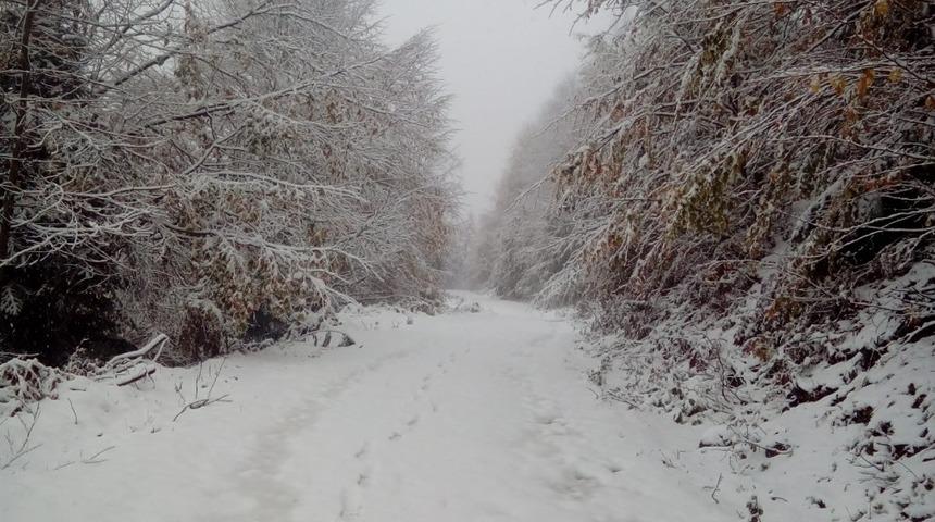 Sakarya&rsquo;nın y&uuml;ksek kesimlerine kar yağışı başladı