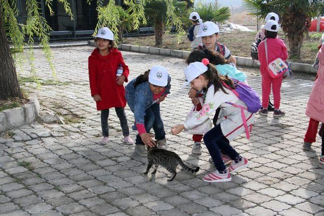 Miniklerden hayvan bakımevine ziyaret