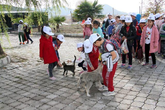 Miniklerden hayvan bakımevine ziyaret