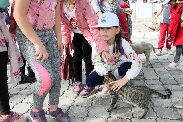 Miniklerden hayvan bakımevine ziyaret