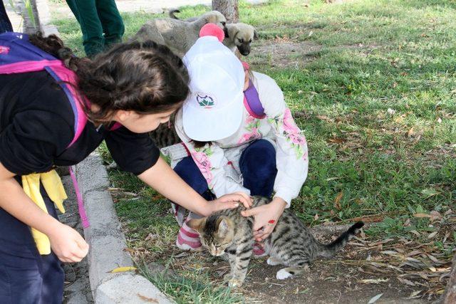 Miniklerden hayvan bakımevine ziyaret