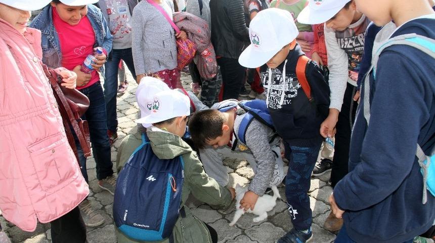 Miniklerden hayvan bakımevine ziyaret