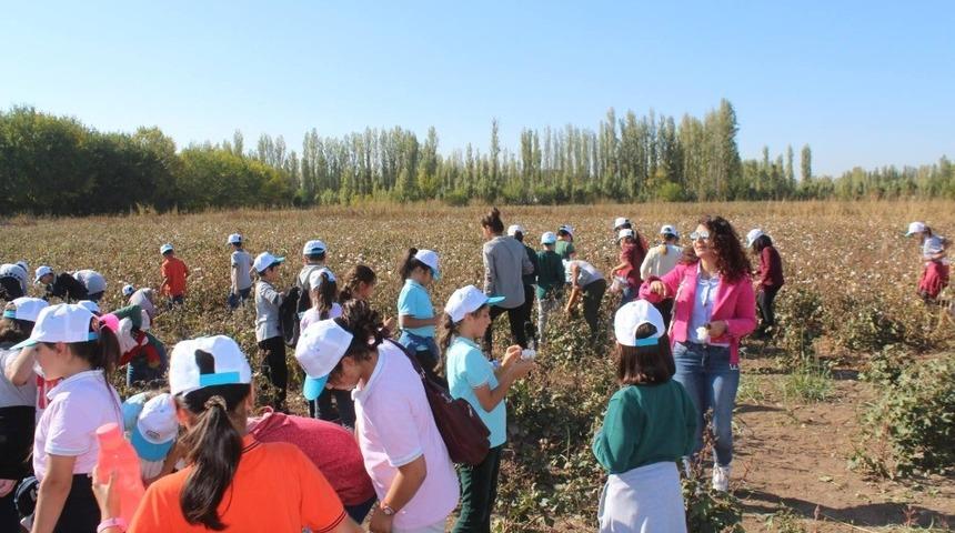 Geleceğin m&uuml;hendisleri pamuk tarlasında