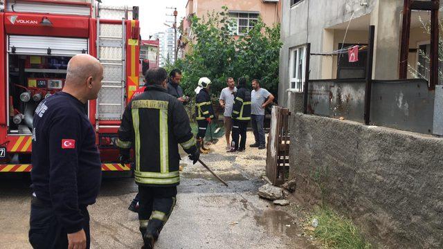 Adana’da şiddetli rüzgarda ağaçlar devrildi, yangın çıktı