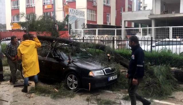 Adana’da şiddetli rüzgarda ağaçlar devrildi, yangın çıktı