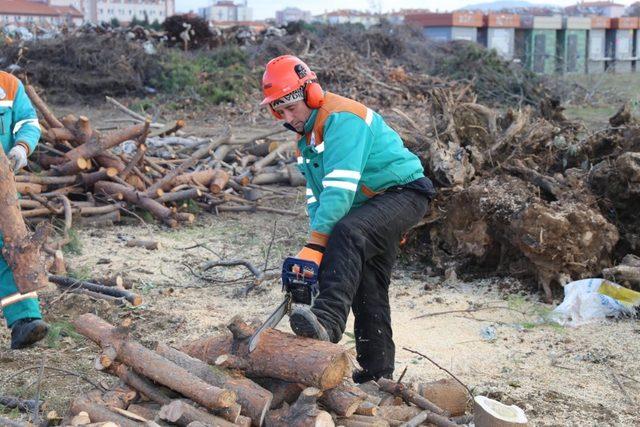 Burhaniye’de ihtiyaç sahiplerine odun dağıtımına başlandı