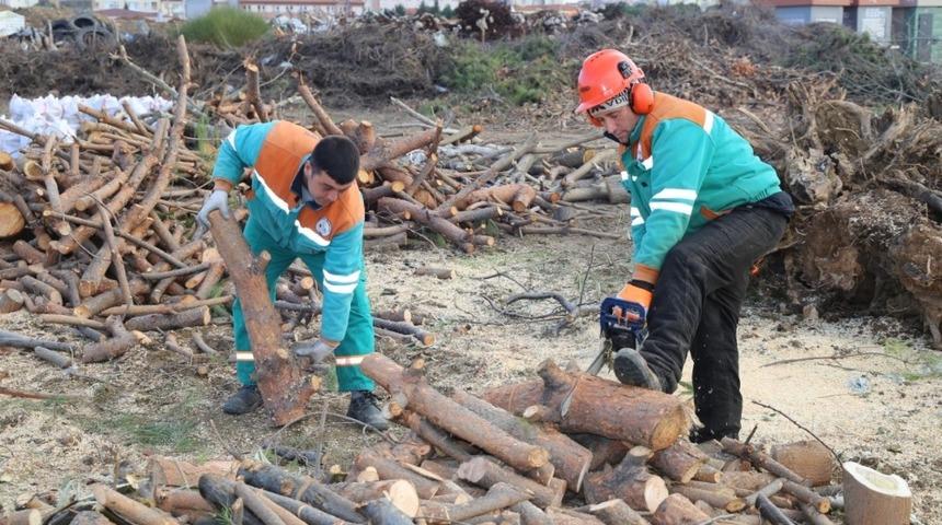 Burhaniye&rsquo;de ihtiya&ccedil; sahiplerine odun dağıtımına başlandı