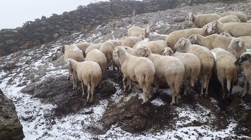 Aydın&rsquo;a yılın ilk karı d&uuml;şt&uuml;
