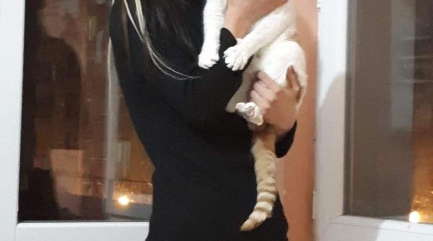 Hayvanseverlerden Adalet Bakan&rsquo;ı G&uuml;l&rsquo;e destek