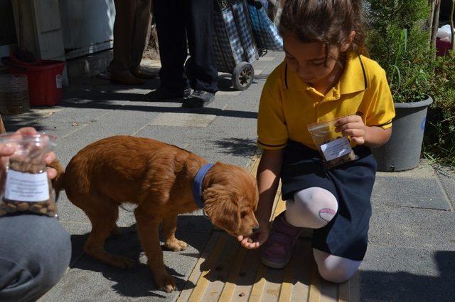 Sokak hayvanları için her çantaya bir mama