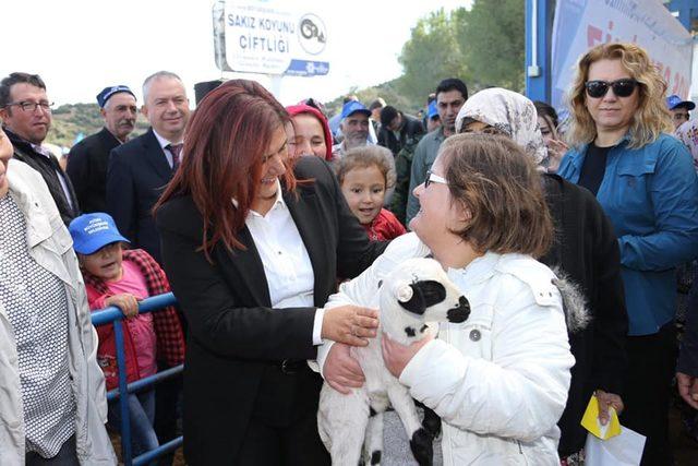 Aydın Büyükşehir Belediyesi 70 aileye sakız koyunu hibe etti