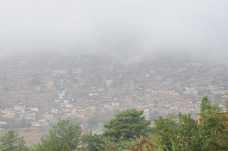 Mardin’de sağanak ve sis etkili oldu G4