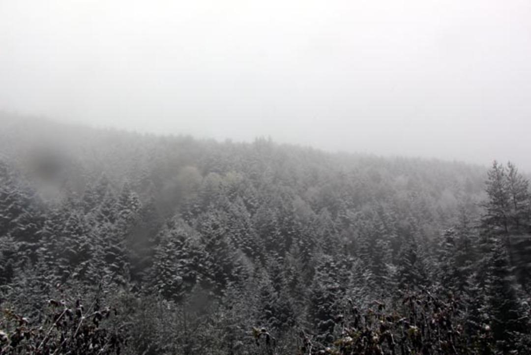 Bolu'da ilk kar yağdı! 