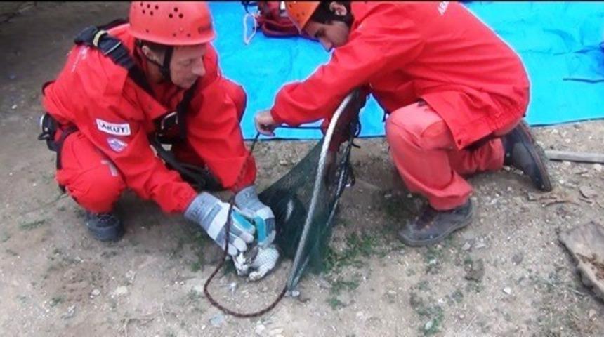 AKUT dereye d&uuml;şen yavru kediyi 2 saatte kurtardı