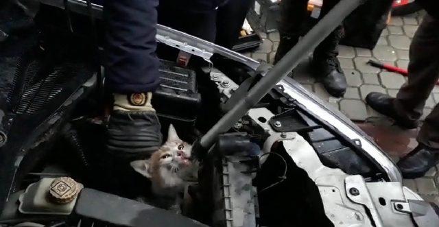 Otomobilin motor kısmına sıkışan kedi güçlükle çıkarıldı