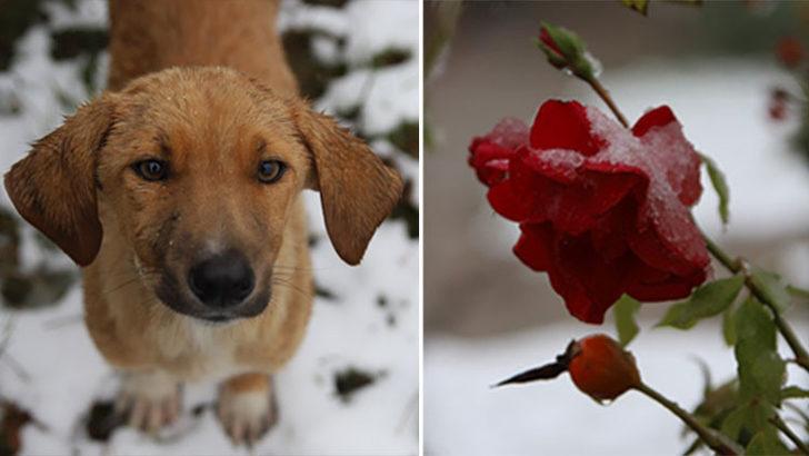 Meteoroloji uyarmıştı! Kar yağışı etkili oldu G1