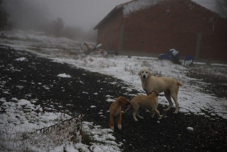 Meteoroloji uyarmıştı! Kar yağışı etkili oldu G3