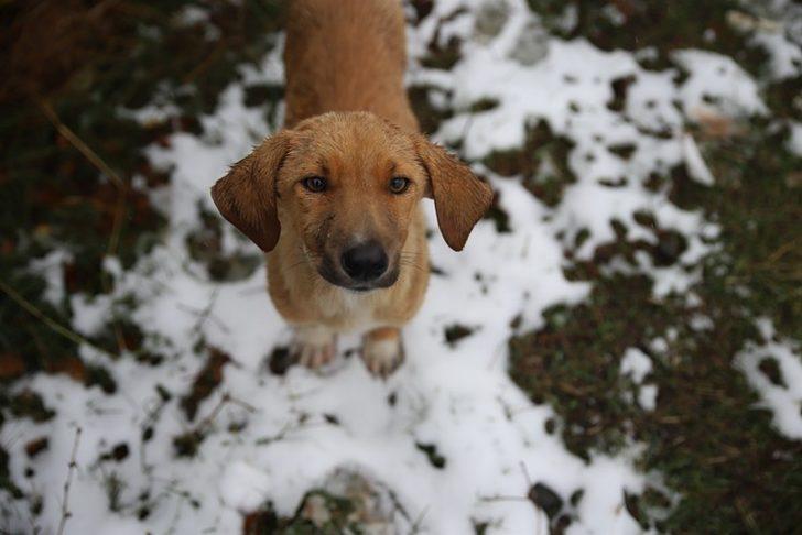 Meteoroloji uyarmıştı! Kar yağışı etkili oldu G4