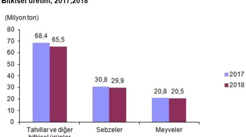 Bitkisel üretim tahminleri tahıllarda yüzde 4.2 düştü