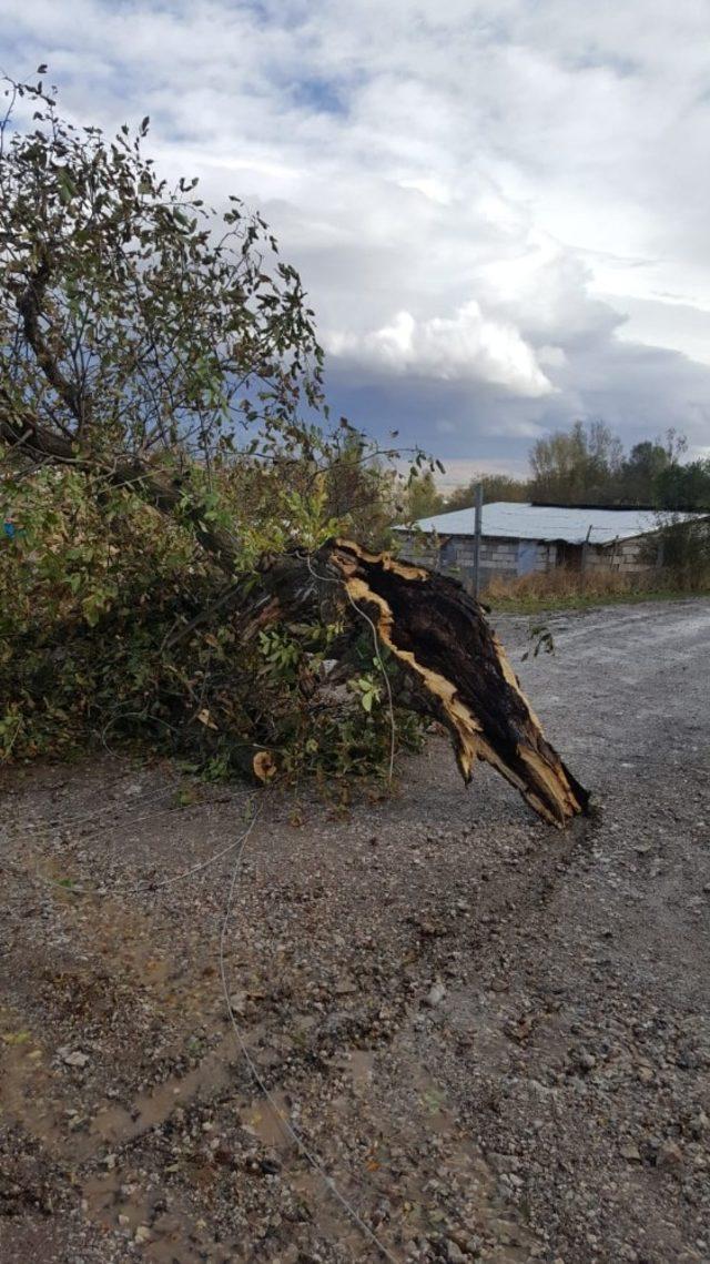 Van’da şiddetli fırtına hayatı felç etti