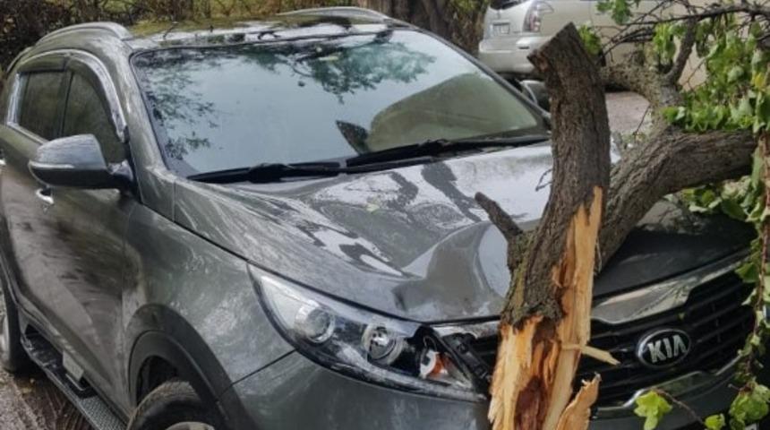 Van&rsquo;da şiddetli fırtına hayatı fel&ccedil; etti