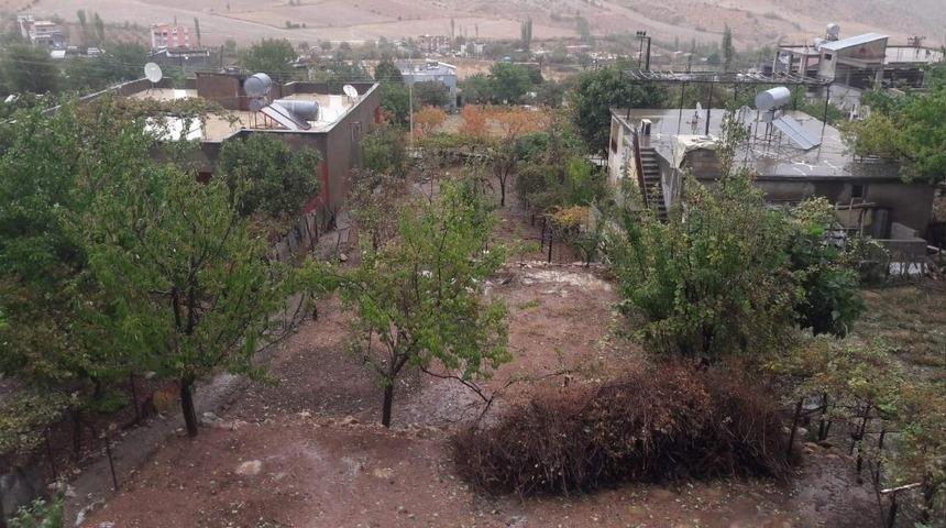 Siirt&rsquo;te sağanak yağış ekinlere zarar verdi