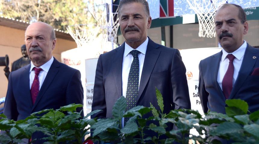 Mersin'de artık kahve üretilecek