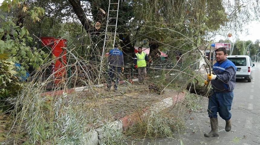 Uzayan ağa&ccedil; dallarına ekipler m&uuml;dahale etti