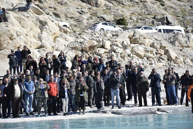 Şahika Ercümen rekoru Cumhuriyetin 95. yılına hediye etti