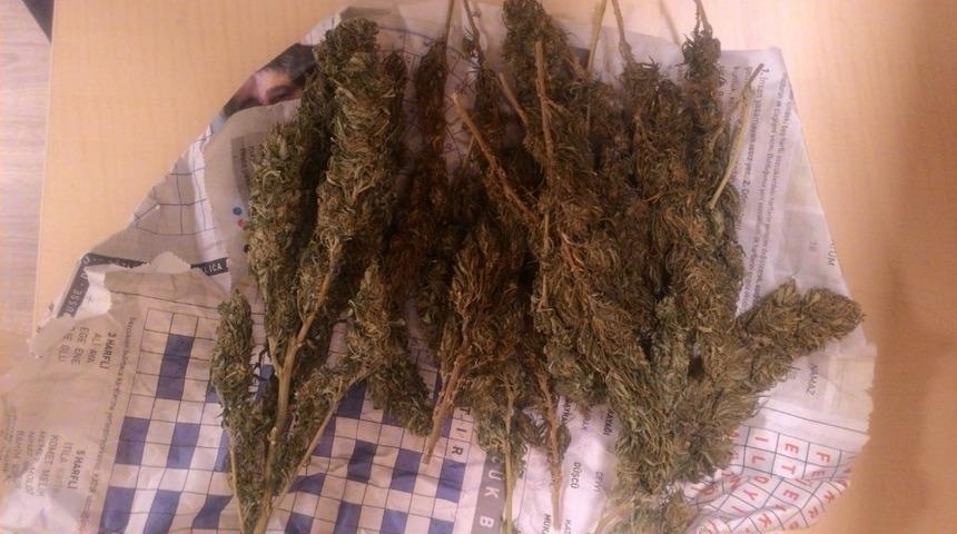 Ş&uuml;phe &uuml;zerine durdurulan ara&ccedil;tan uyuşturucu madde &ccedil;ıktı