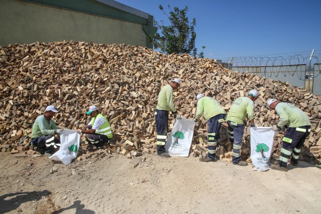 Budanan ağa&ccedil;lar yakacak oldu