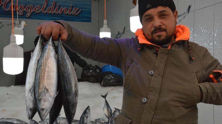 Sinop&rsquo;ta palamut 15 TL&rsquo;ye y&uuml;kseldi