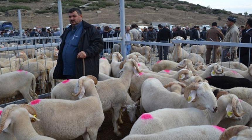 Manisa&rsquo;nın Kula il&ccedil;esinde de hayvan pazarı kapatıldı