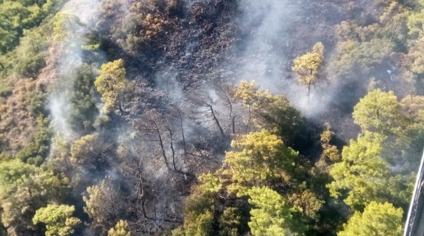 K&ouml;yceğiz&rsquo;de orman yangını