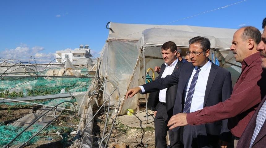 Pamuk, fırtına ve yağıştan zarar g&ouml;ren alanları inceledi