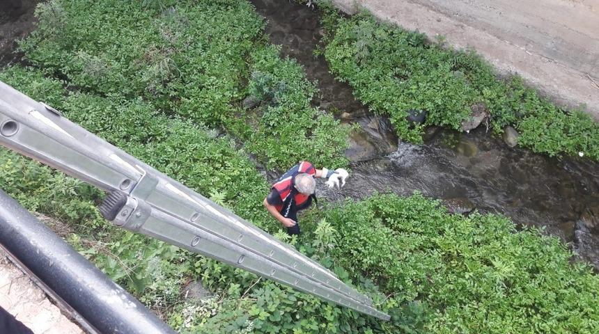 Dereye d&uuml;şen kedi itfaiye ekiplerince kurtarıldı
