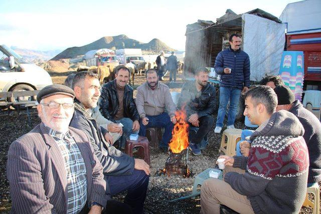 Oltu Canlı Hayvan pazarında yaprak kımıldamadı