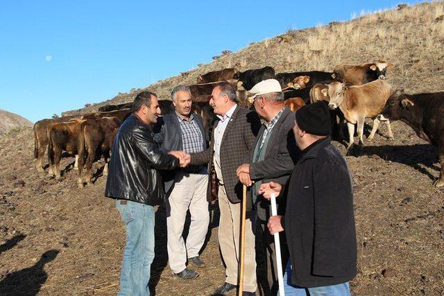 Oltu Canlı Hayvan pazarında yaprak kımıldamadı