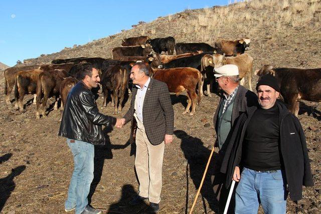 Oltu Canlı Hayvan pazarında yaprak kımıldamadı