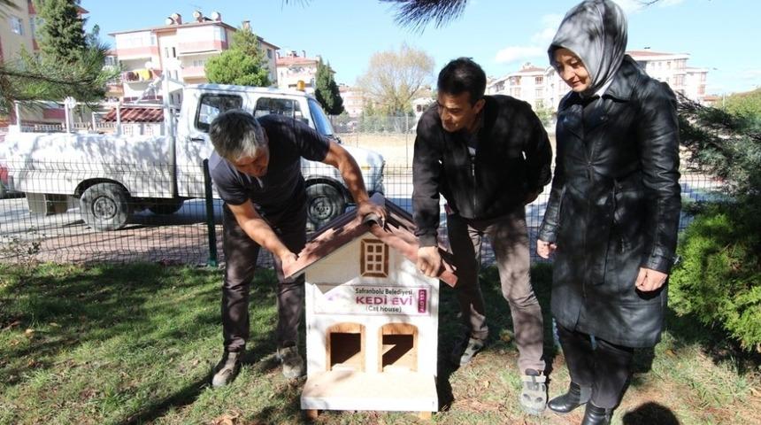 Safranbolu&rsquo;da kedi evlerinin sayısı artıyor