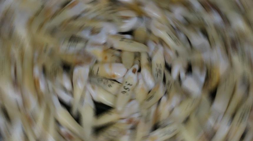 Restorasyon yapan işçiler şok geçirdi! Duvarın içinden insan dişi fışkırdı