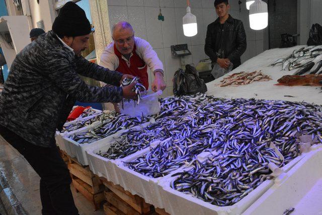 Karadeniz'de hamsi sezonu başladı