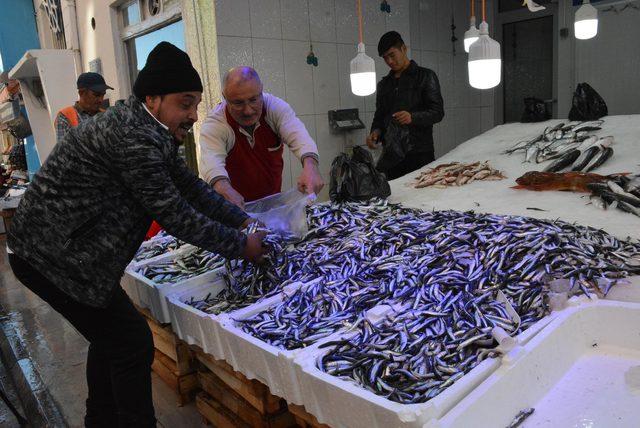 Karadeniz'de hamsi sezonu başladı